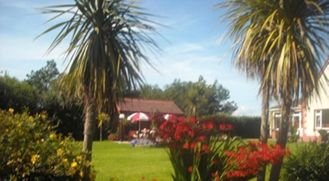 Atlantic Haven Bed & Breakfast Sligo Eksteriør bilde